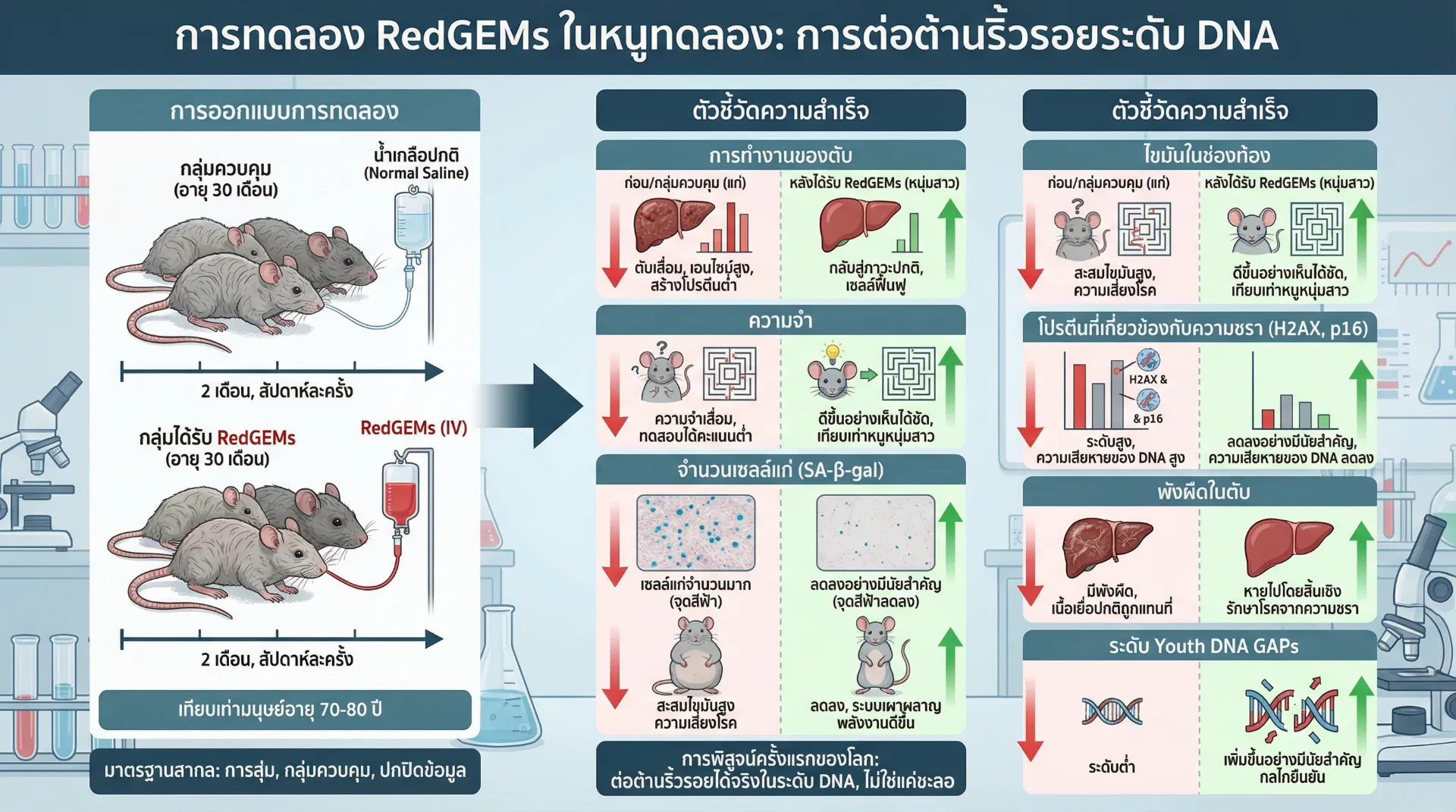 Red-GEMs-trail-in-mices-results